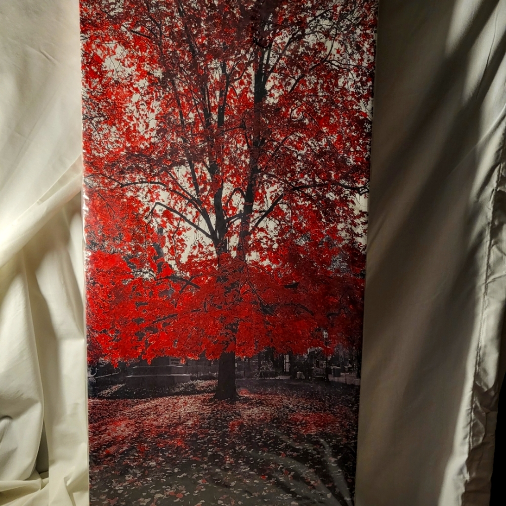 Canvas art beautiful by design art
